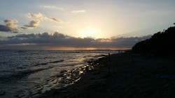 thecub81:  Me at the beach and the beautiful sunset in Puerto Rico…. my home…this is paradise