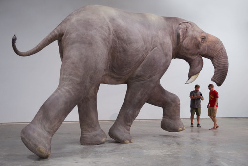 bluerhinostudio: Also featured alongside the quetzalcoatlus–a life-sized mother Deinotherium a