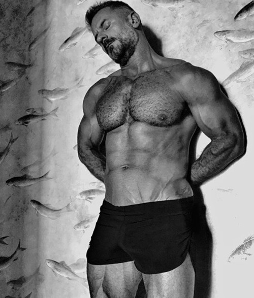 planesdrifter:  Follow planesdrifter: trueTHAT if you’re an admirer of older, hairy natural and muscular men.Check it out and the archive too or the live cams.