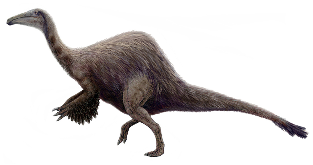 Deinocheirus mirificus: A Fossil Goose Chase - Darwin's Door