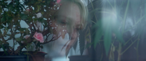 indiewire:‘Woodshock’ First Trailer: Kirsten Dunst Spirals Out of Control in A24’s Reality-Bending P