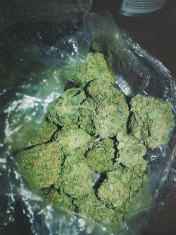 Bag Of Weed