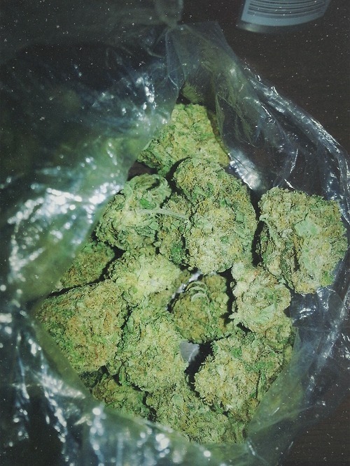 Bag of weed adult photos