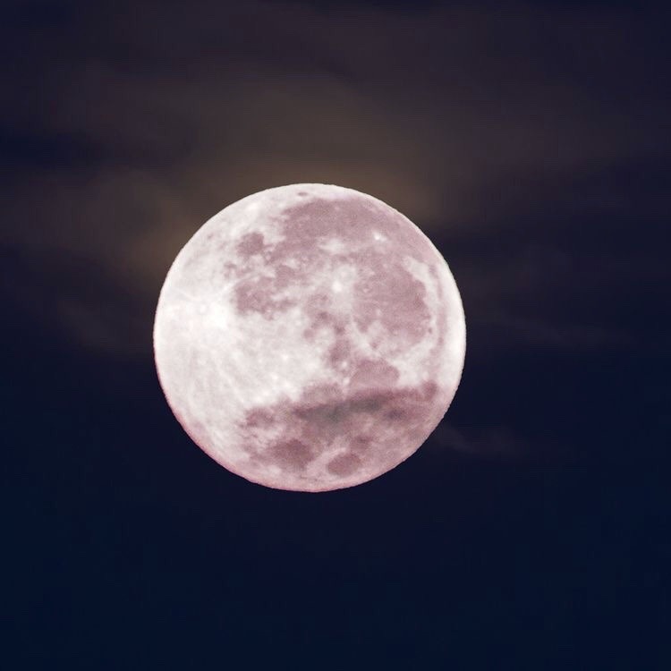 XXX replaysgf-deactivated20210116:the moon is photo