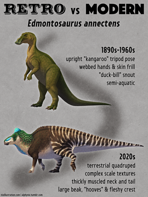 alphynix:Retro vs Modern #12: Edmontosaurus annectensHadrosaurs were first discovered during the 185