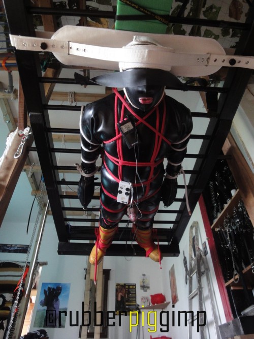 gummigimp:upside down bondage rack