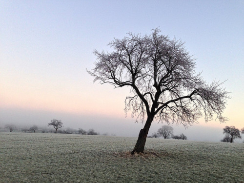 Weg zur Arbeit by christiane.grosskopf on Flickr.