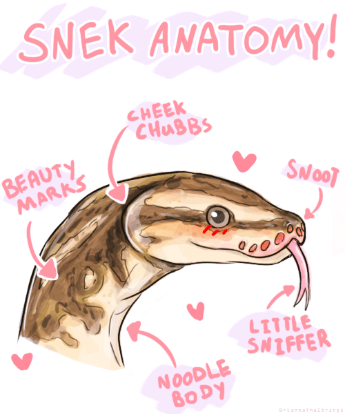 oscillatingocelot:D’aww snek &lt;3