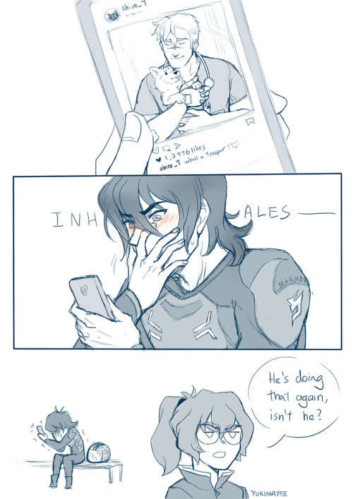 yukinayee: Sheith Veterinarian AUPidge, best friend and genius mechanic is happy for Keith but now i