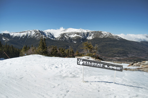Great view of one of the gnarliest mountains on the East Coast, taken from Wildcat Ski Area