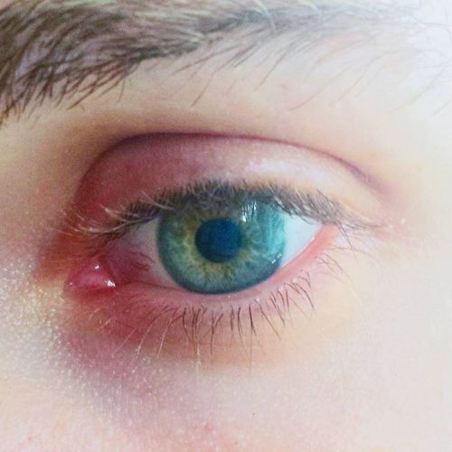 Eye love hue. (Puntastic!) ift.tt/1gA67b7