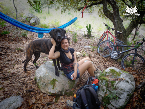 ciclotrip: ciclo-picnic