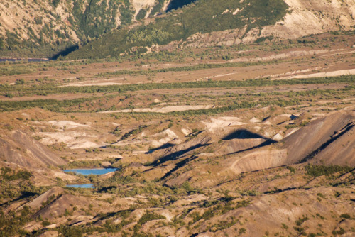 king-lobo: Mount St. Helens - July 29th, 2017 (Photos are mine, do not use without permission. Do no