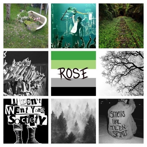 Aromantic moodboard with the name Rose~ ^^For an anon!! Hope you like this!Want one? send an ask~ -m