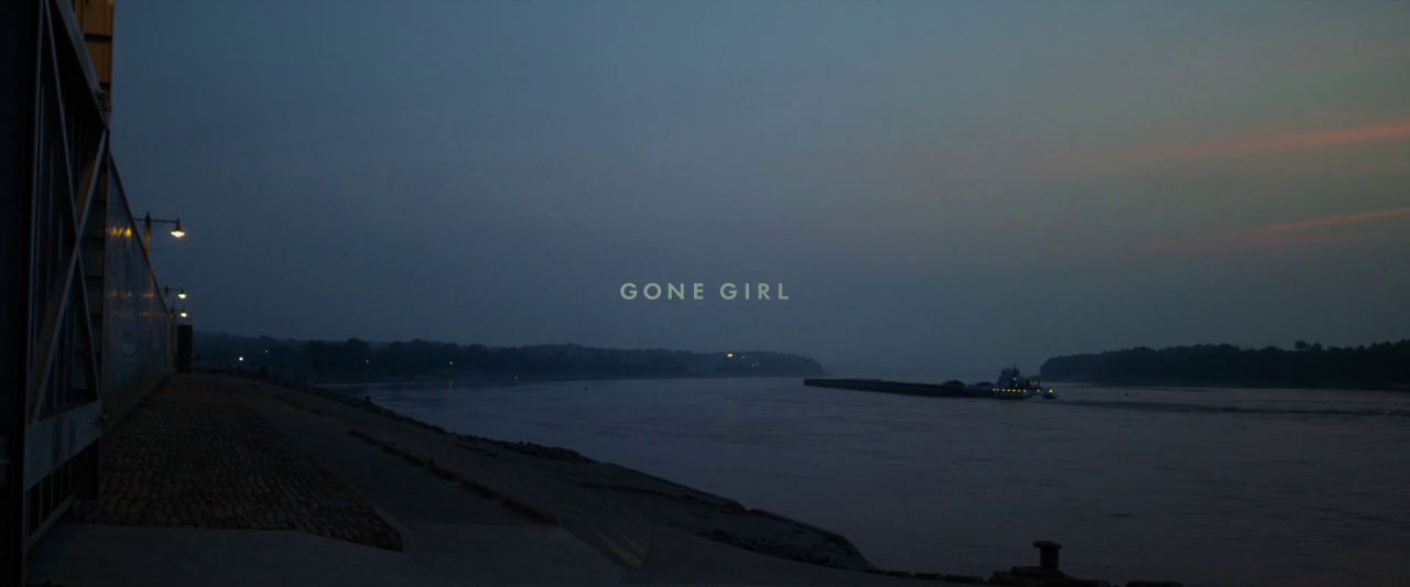 movies-as-photographs:  Gone Girl (2014, USA) 4 | 3 | 3Director: David FincherCinematographer: Jeff