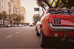 ford-mustang-generation:  Summertime in Buenos Aires by jumado on Flickr.