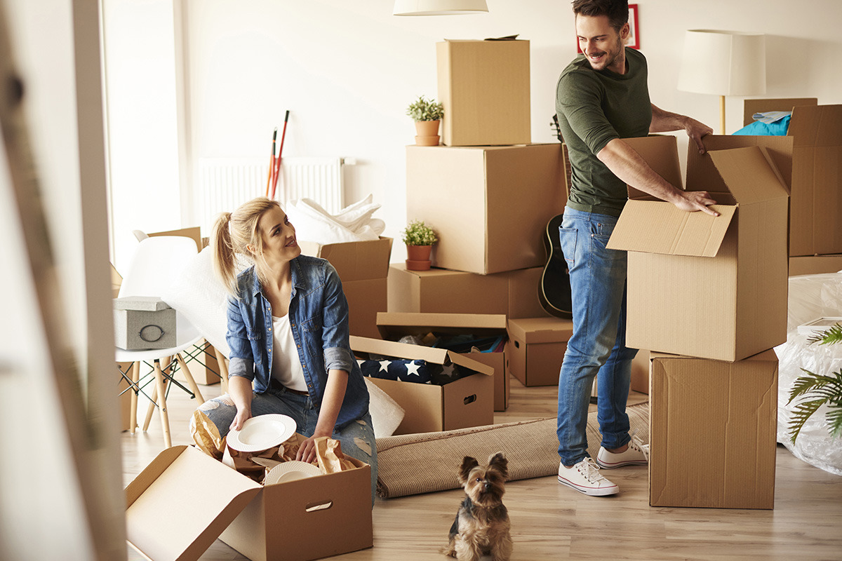 How to Find the Perfect Packers and Movers for Your Move