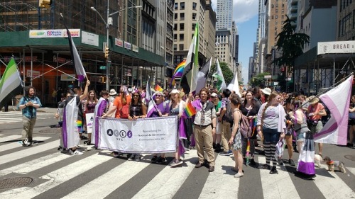 redbeardace:NYC Pride Parades 2019 @arowitharrows you said you hadn&rsquo;t seen Aromantic presence 