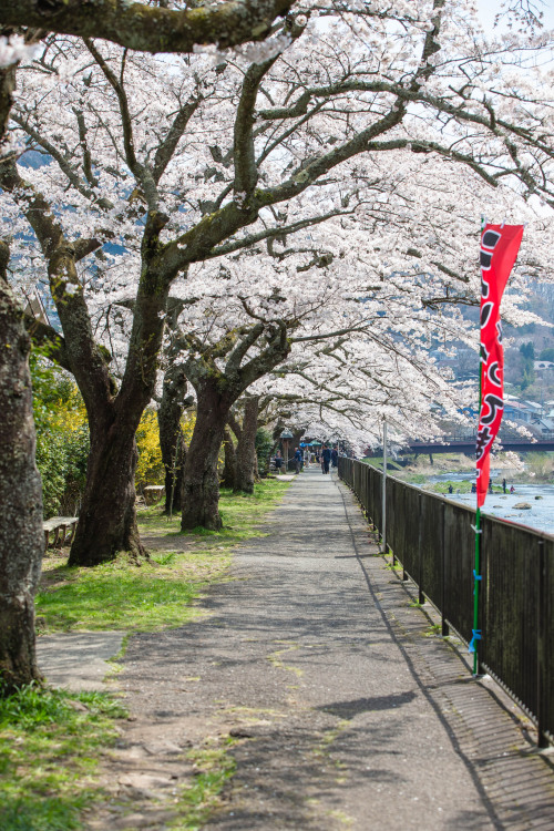 miizukizu: BM7Q5359.jpg | By : Alston Huang on Flickr