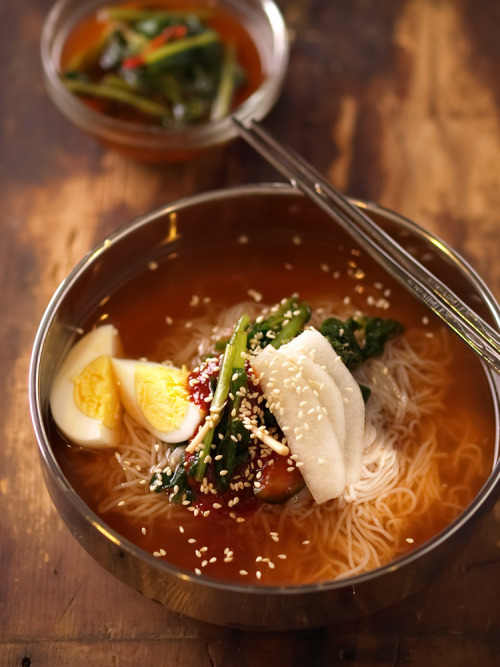thatkoreanfood: follow www.thatkoreanfood.tumblr.com for more naengmyeon? I want this for 