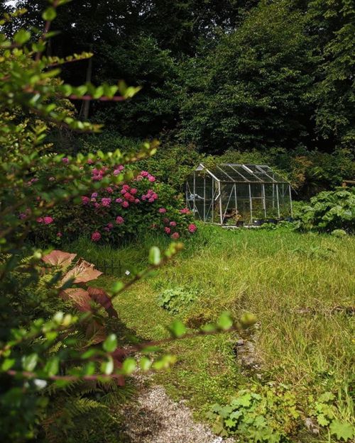 Hidden away. ~ #greenhousehunters #greenhouse #scotshots #thisisscotland ift.tt/2RZFjnC