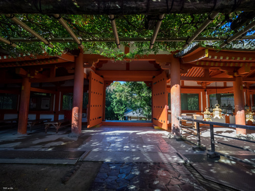 朝の春日大社と手向山八幡宮（の写真だけではないですが…笑）。ブラウニーさんたってのオススメポイントだけに、今まで見たことのない光景が広がります。お勤めにでられる巫女の方、そして仲良しな鹿