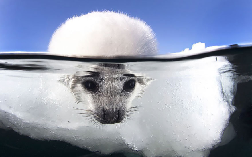boredpanda:    20+ Breathtaking Photos Taken Between Two Worlds   
