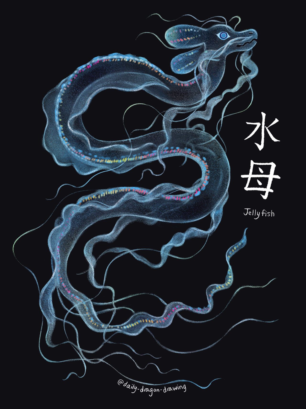 Illustration on a dark blue background of a pale translucent dragon. It has long, flowing whiskers and tail like the tentacles of a jellyfish, and bright multicolored lights along its back like a comb jelly. Beside the dragon is text that reads "水母 Jellyfish" and below it is an artist signature that reads "@daily-dragon-drawing"