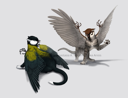 anisis-scrapbook:Some variations of griffins
