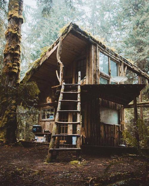 imustnotfearfearisthemindkiller:  Beautiful forest cabin.Photo by: Andrew Kearns
