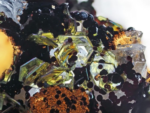 underthescopeminerals:  Beudantite  Locality:Clara Mine, Rankach valley, Oberwolfach, Wolfach, Black Forest, Baden-Württemberg, Germany  Collection: Münchner Mikromounter Photo: Edgar Müller  