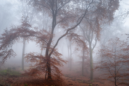 darkface: Landschaft in der Pfalz (by Pfalzknipser)