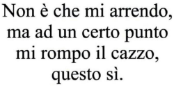 insicuritywilldestroyou:  voglio-essere-accanto-a-te:  – Citazioni Tumblr   @tantononcapiscenessuno