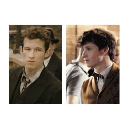 The cheekbones The hair The everything Scamander #fanart #scamanderfamily #scamanderbros #scamanderb