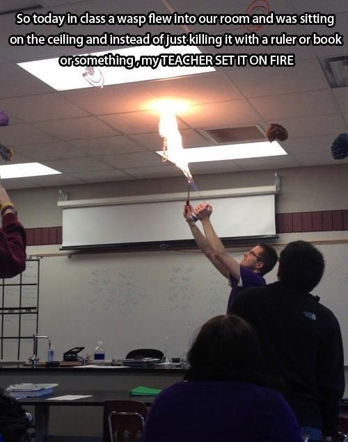 pleatedjeans:  22 Teachers Caught Being Awesome 