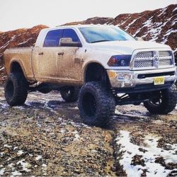 liftedtrucks:  My other blog: www.cuntrycuties.tumblr.com