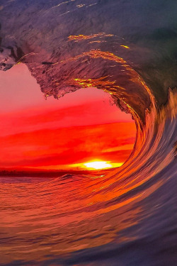 highenoughtoseethesea:  GoPro sunsetPhoto: Santa Cruz Waves