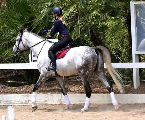 celebs-dailyus:  Iggy Azalea riding a horse in Los Angeles - May 27 