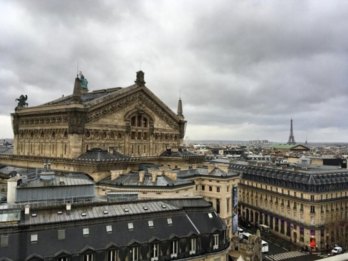 THIS VIEW ☔️#paris #operagarnier #toureiffel #eiffeltower #view #rooftop #weekend #memories #raini
