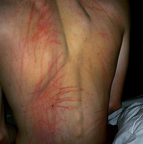 amlc28.tumblr.com/post/123150765807/