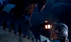 jonsnows: “ Drogon… ”
