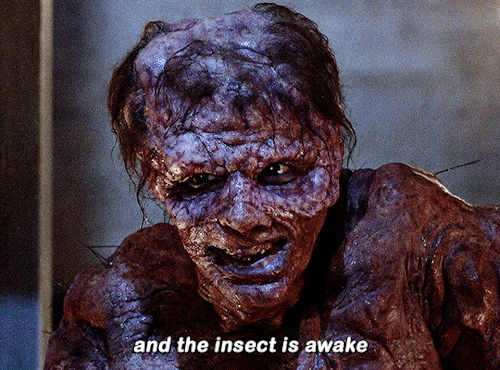 Have You Ever Heard Of Insect Politics? Neither Have I. Insects Don’t Have Politics. They’re Very
