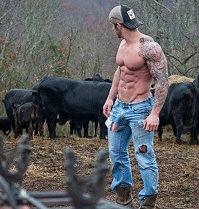 hunterfisher: Mis vacas me ponen perverso….¿A cual me tiro hoy?