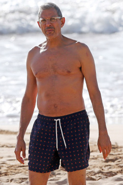 shirtlessmalecelebs:  Jeff Goldblum