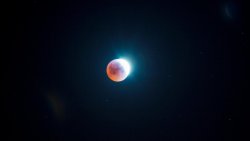 space-pics:  Blood Moon from CA foothills