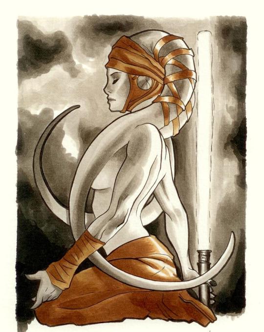 Adam Hughes Aayla Secura Mace Windu Yoda Adam Hughes