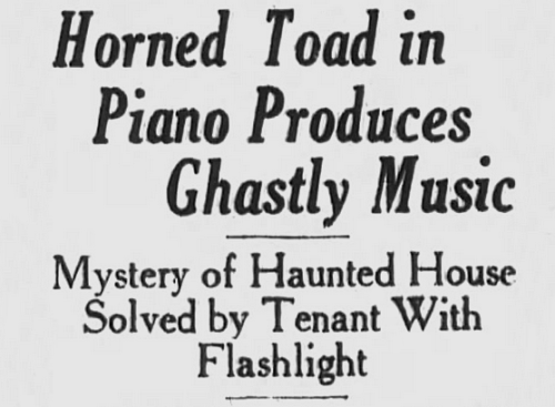 yesterdaysprint:San Francisco Chronicle, California, January 25, 1920