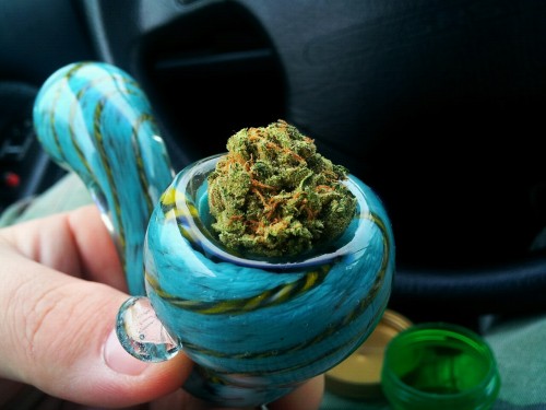 cannabisculturez:  Grow your own cannabis - Click here