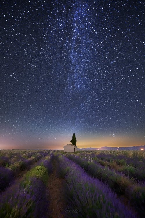 renamonkalou:    Milky Way indulged in lavender scent | Brialex PhotographyProvence, France