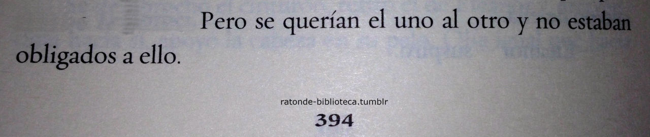 ratonde-biblioteca:  ~